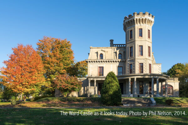 Ward Castle Image