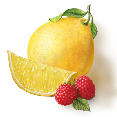 lemon and raspberry illustration for Torie and Howard Candy by Illustrator Priscilla Prentice