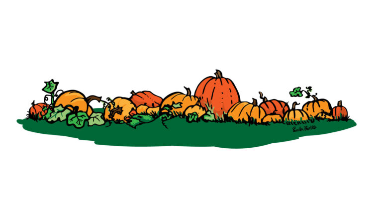 Pumpkin patch design by illustrator Priscilla Prentice