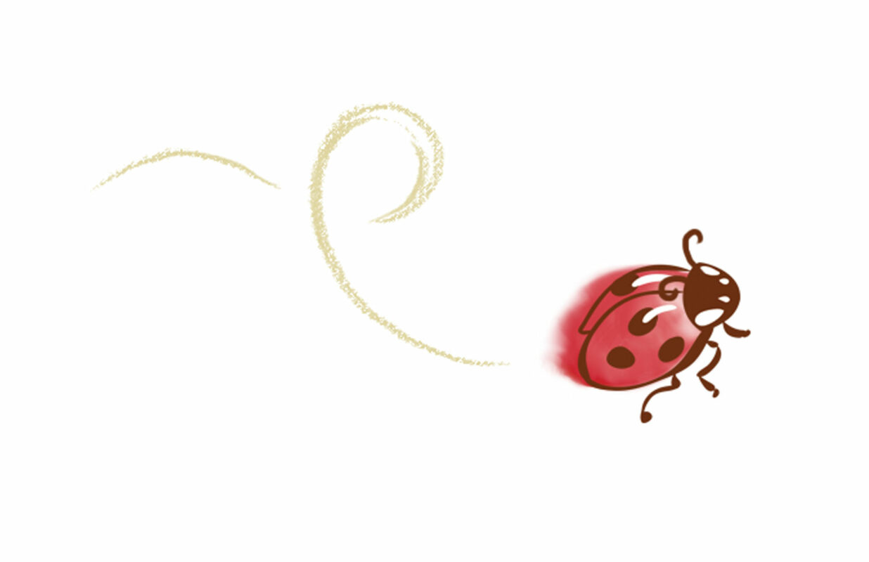 ladybug illustration by Priscilla Prentice