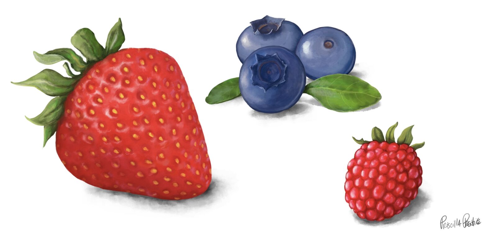 Strawberry, blue berry, and raspberry fruit illustrations by illustrator Priscilla Prentice