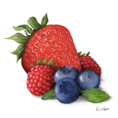 Mixed Berries Illustration of strawberry, raspberry, and blue berries by Illustrator Priscilla Prentice