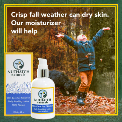 Nuthatch Naturals social mediia post of a child playing in the leaves in the woods-Crisp fall weather can dry skin, our moisturizer will help - by Priscilla Prentice illustration and design